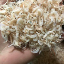 虾皮小