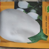 松田雪茄茄子种子，韩国引进！白罐茄子种子，白茄子种子
