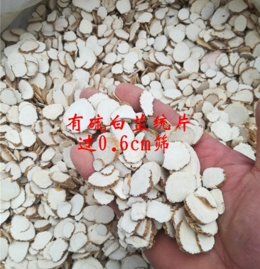 白芷产地直销白芷片统片含硫白芷片白片