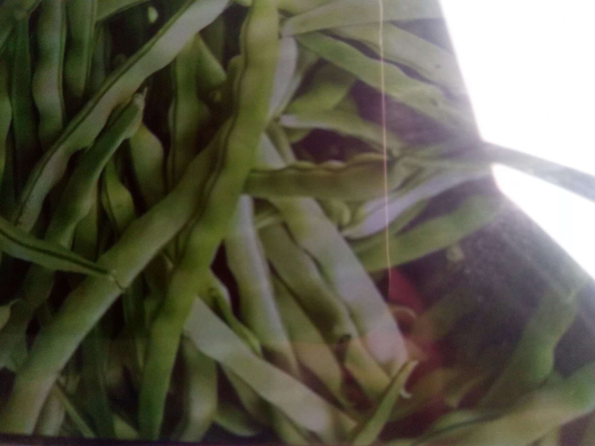 小芸豆的特写,展示其饱满的豆粒和绿色外皮 小芸豆的特写