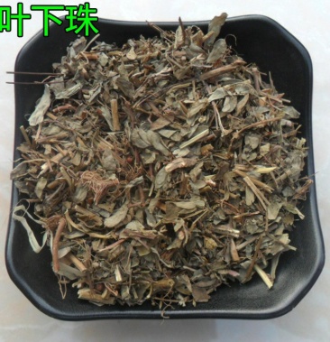 珍珠草葉下珠日開夜閉陰陽草中藥材500g