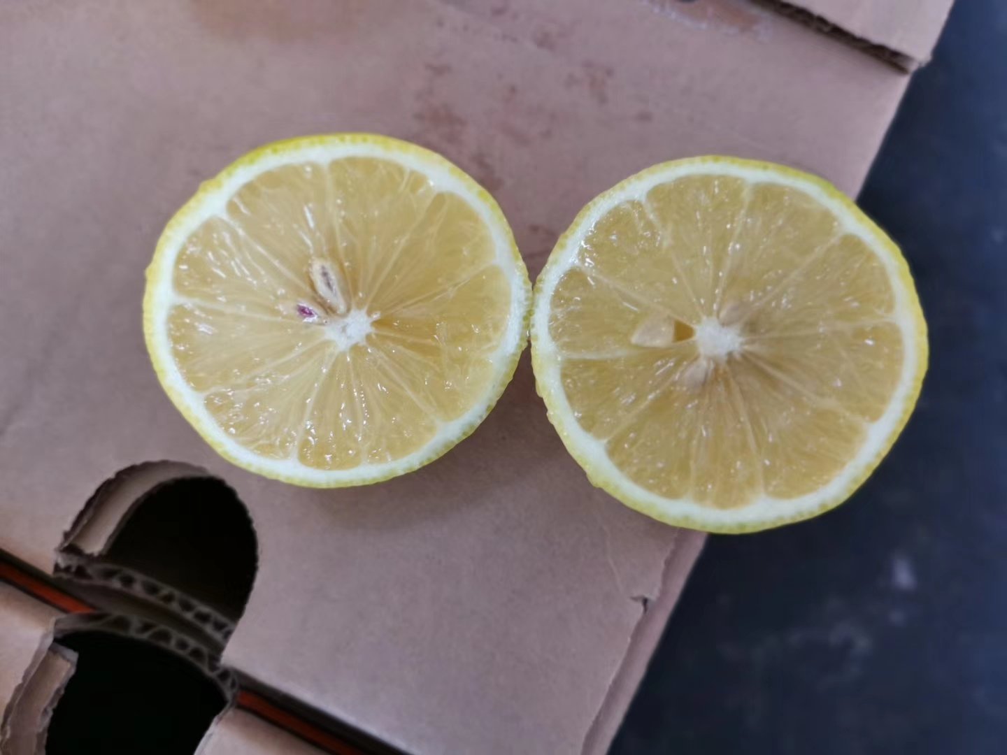 尤力克柠檬清洗与切片