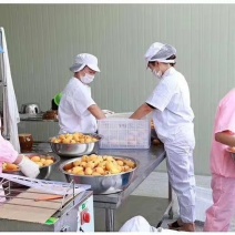 攀枝花米易手工枇杷膏500克
