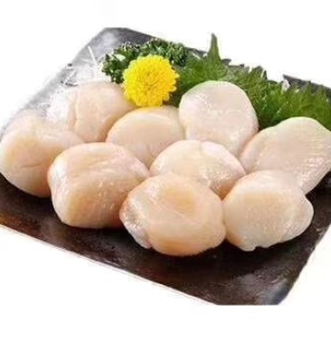 带子肉新鲜鲜活现剥瑶贝柱