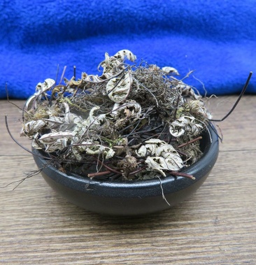 通经草分经草批发零售冷背中药材