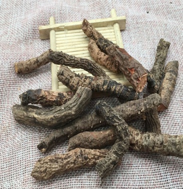 血三七盘龙七盘龙七根无硫净货保正品批发零售冷背中药材