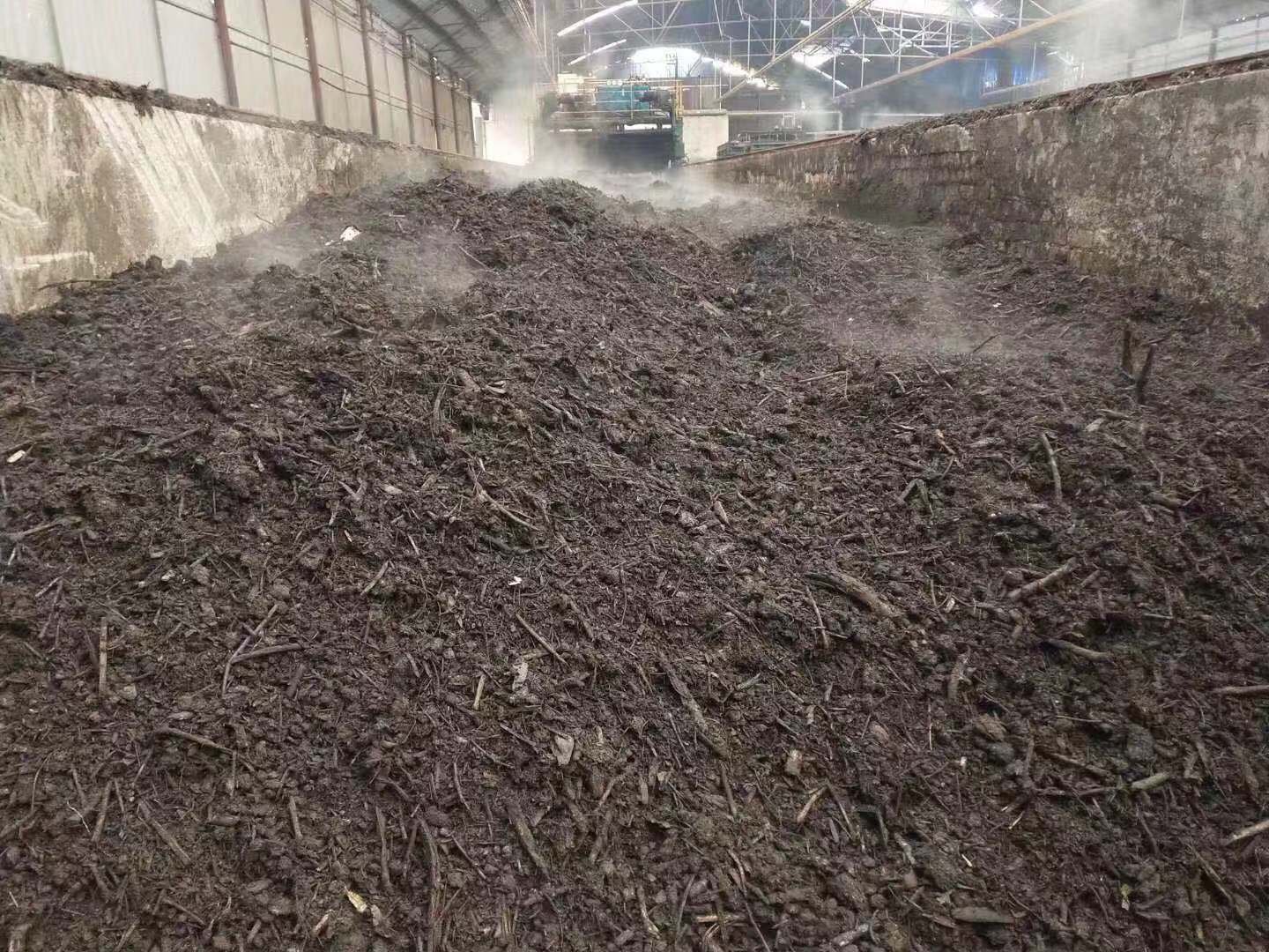 农民将皇帝柑落叶收集用于制作有机堆肥的过程 皇帝柑叶子用于自然堆肥场景