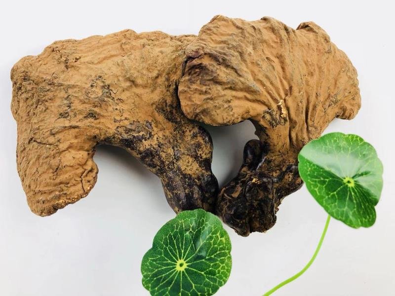 金丝贯叶桃规范化药材与提取物对照图:清晰展示药材形态完整性与提取物颜色、质地,重点突出HPLC检测报告标识,强调质量可控性 金丝贯叶桃干燥药材与标准提取物:左侧为阴干全草(茎叶花完整),右侧为棕色粉末状乙醇提取物,标签标注“金丝桃素含量≥0.8%(HPLC测定)”