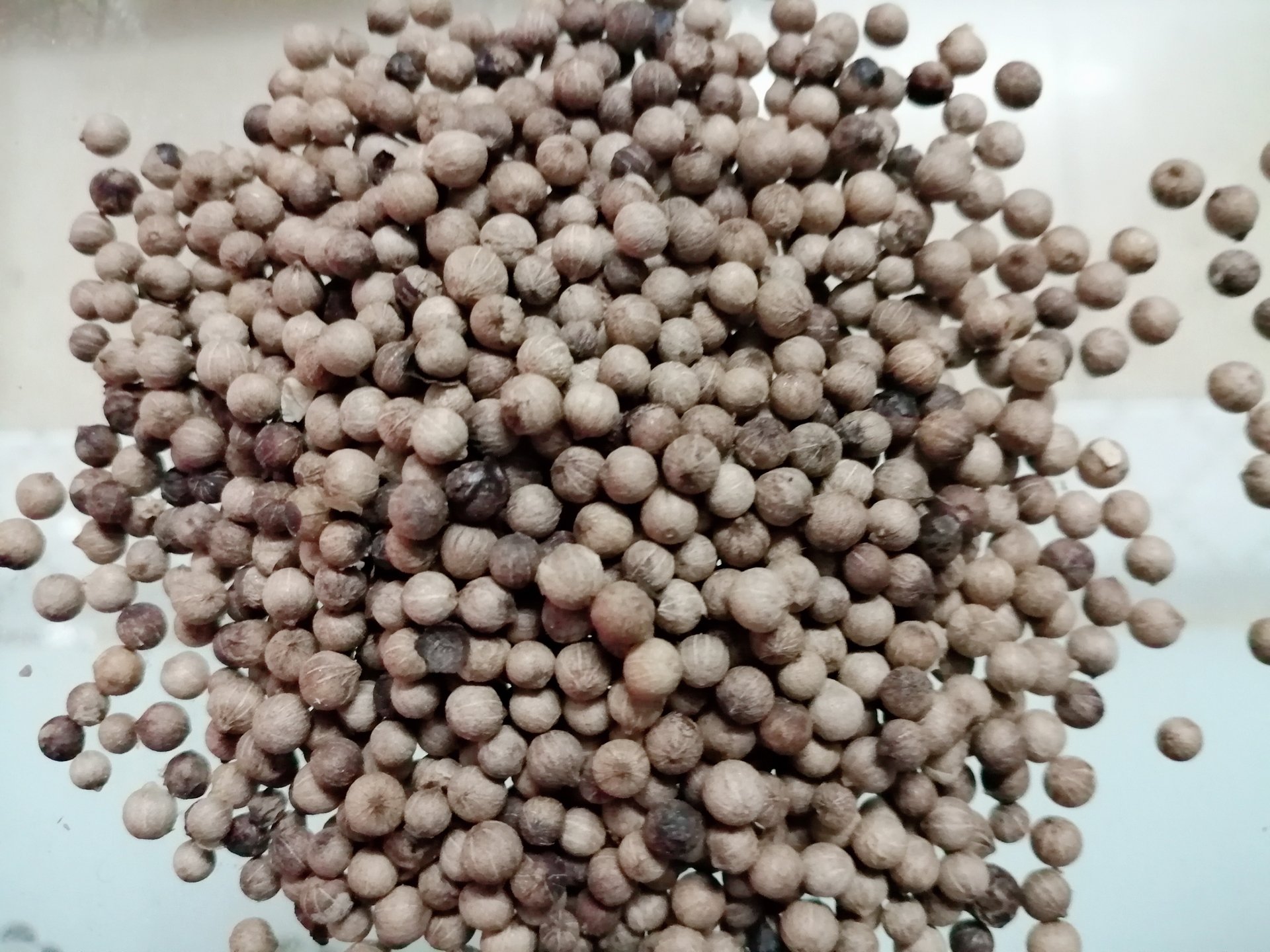 黑胡椒整粒与研磨粉对比图