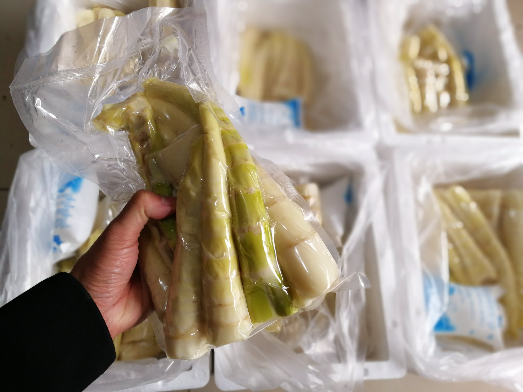 真空包装冷冻雷笋成品展示