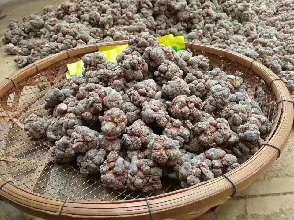 图片展示多种云南黑玛卡产品,包括玛卡干片、粉剂、胶囊等,突出产品包装上的产地与认证信息 云南黑玛卡产品展示图