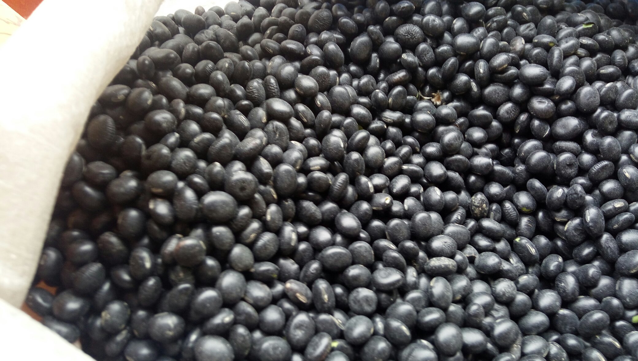 黑豆与黄豆混合打浆图