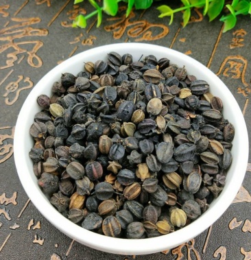 刺五加籽五加子批发零售冷背中药材