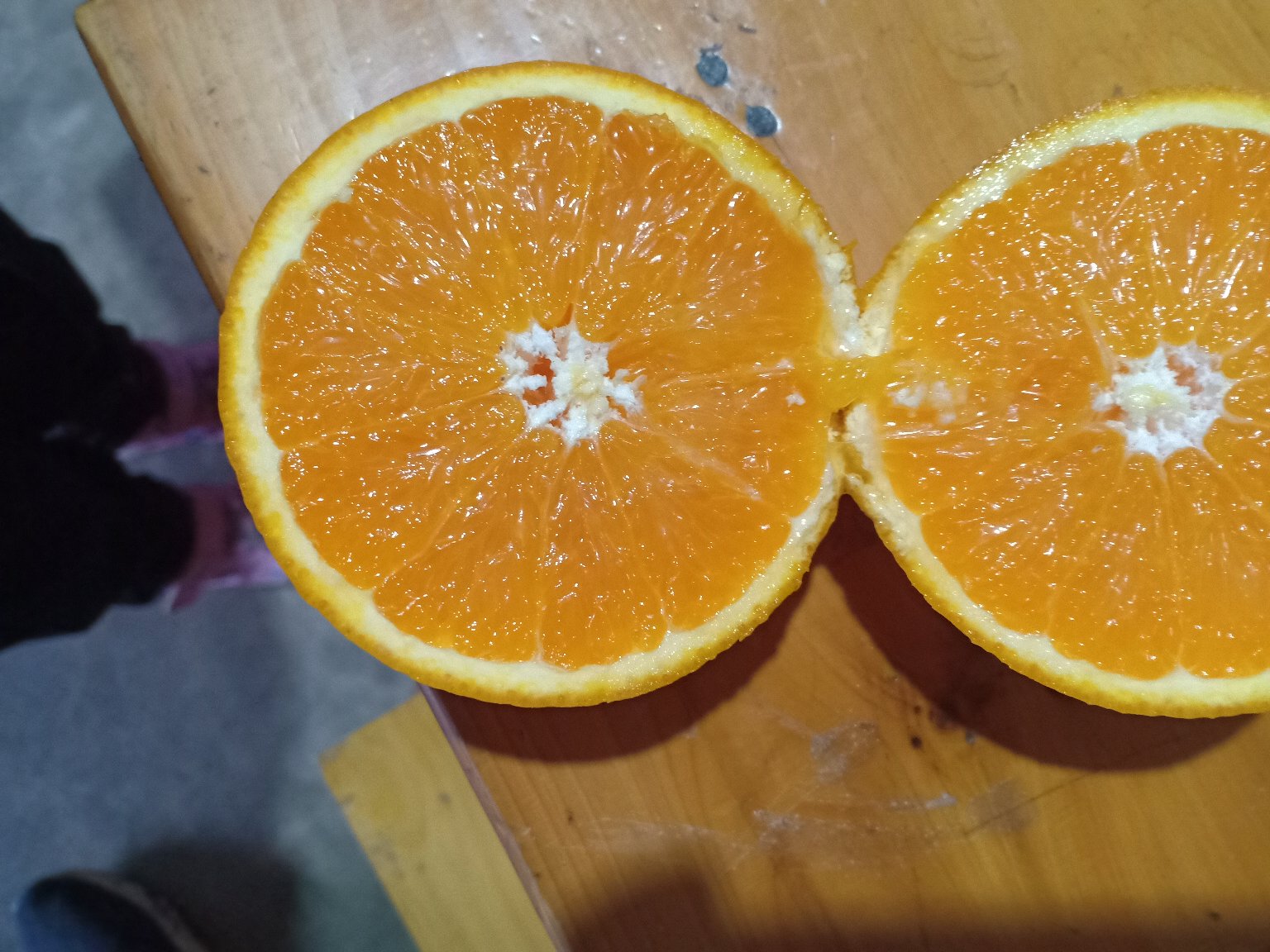 横向切开的小青柑,露出内部白色海绵层(橘络)、少量果肉和密集的油胞结构,背景为实验室白板,配有标注线指示各组织部位 小青柑切开剖面图