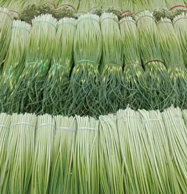 [蒜薹批发]青帽蒜苔价格5.00元/斤 - 一亩田