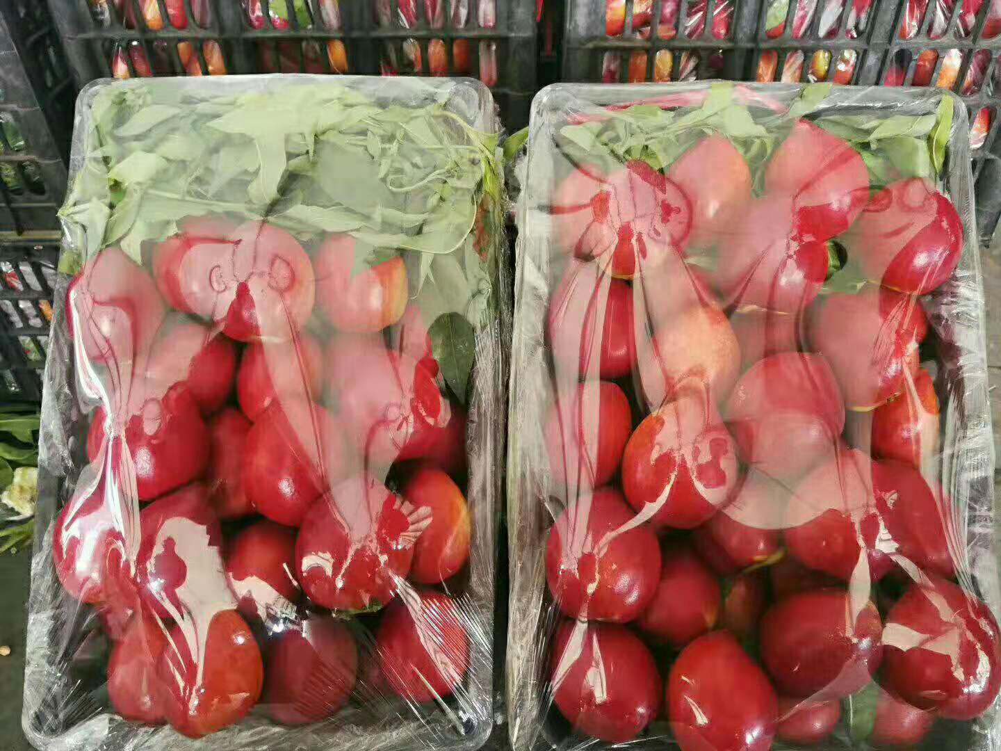 多个不同规格的中油37油桃包装展示,包括透明塑料盒装精品果、礼盒装、网套独立包装的大果,以及正在被打包贴单准备发往全国各地的快递包裹,背景为现代化分拣车间,体现标准化、品牌化运营 中油37油桃包装与销售场景