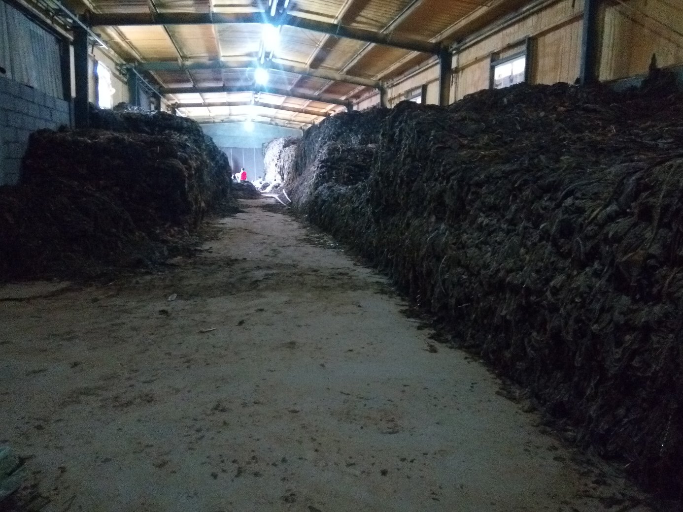 海带条包装与电商发货场景