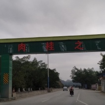 来自中国肉桂之乡的桂皮