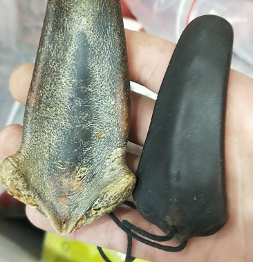 包邮鹿尾巴 正品 鹿尾巴