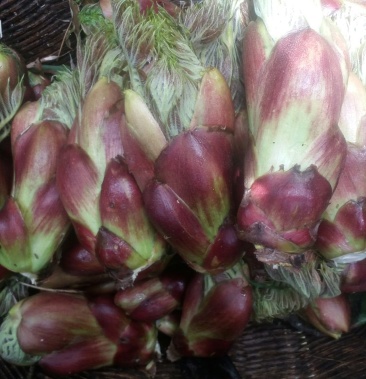 [山野菜批发]野生刺龙苞价格30.00元/斤 - 一亩田