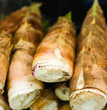 [竹笋批发]50吨生竹笋求收购价格3.00元/斤 - 一亩田