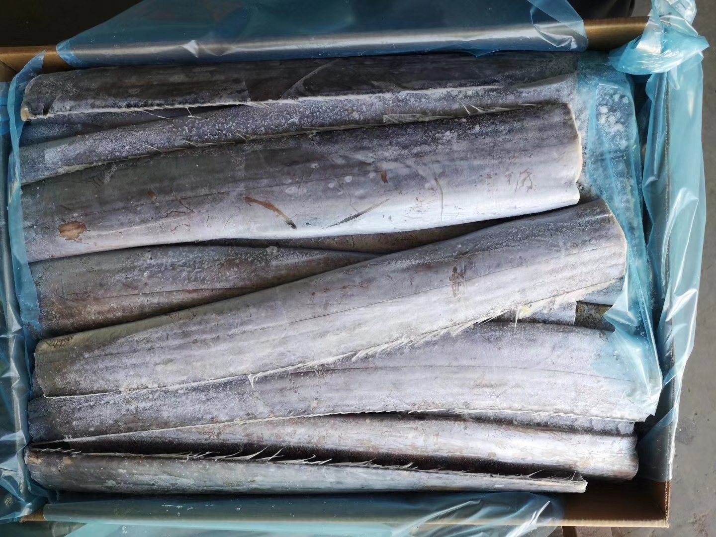 展示一整箱冷冻带鱼,带鱼整齐摆放,表面覆盖均匀冰层 新鲜冷冻带鱼展示