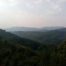 山地流转