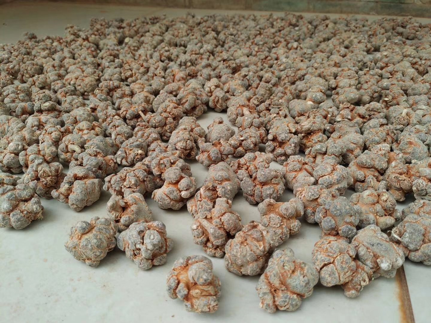 三七皂苷分子结构与血管内皮细胞作用示意图