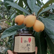 漳州云霄枇杷膏