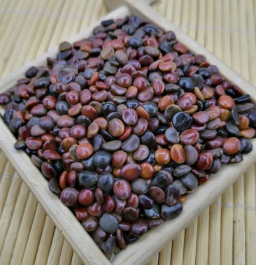 [拐枣批发]枳椇子 木蜜 枳椇 批发零售冷背中药材价格25.