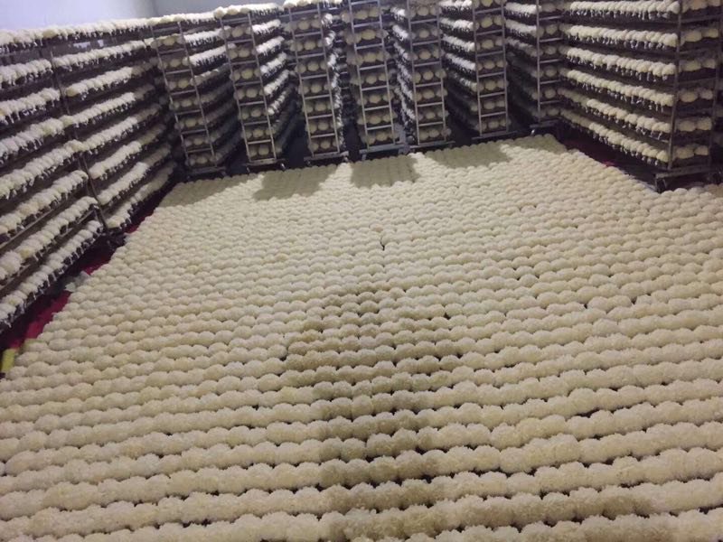 一名穿白色实验服的技术人员正在使用紫外分光光度计测量银耳多糖溶液吸光值,操作台上有试管架、移液枪、烧杯等仪器,电脑屏幕上显示标准曲线图表,背景墙上挂有CMA认证标识牌 实验室银耳多糖检测过程