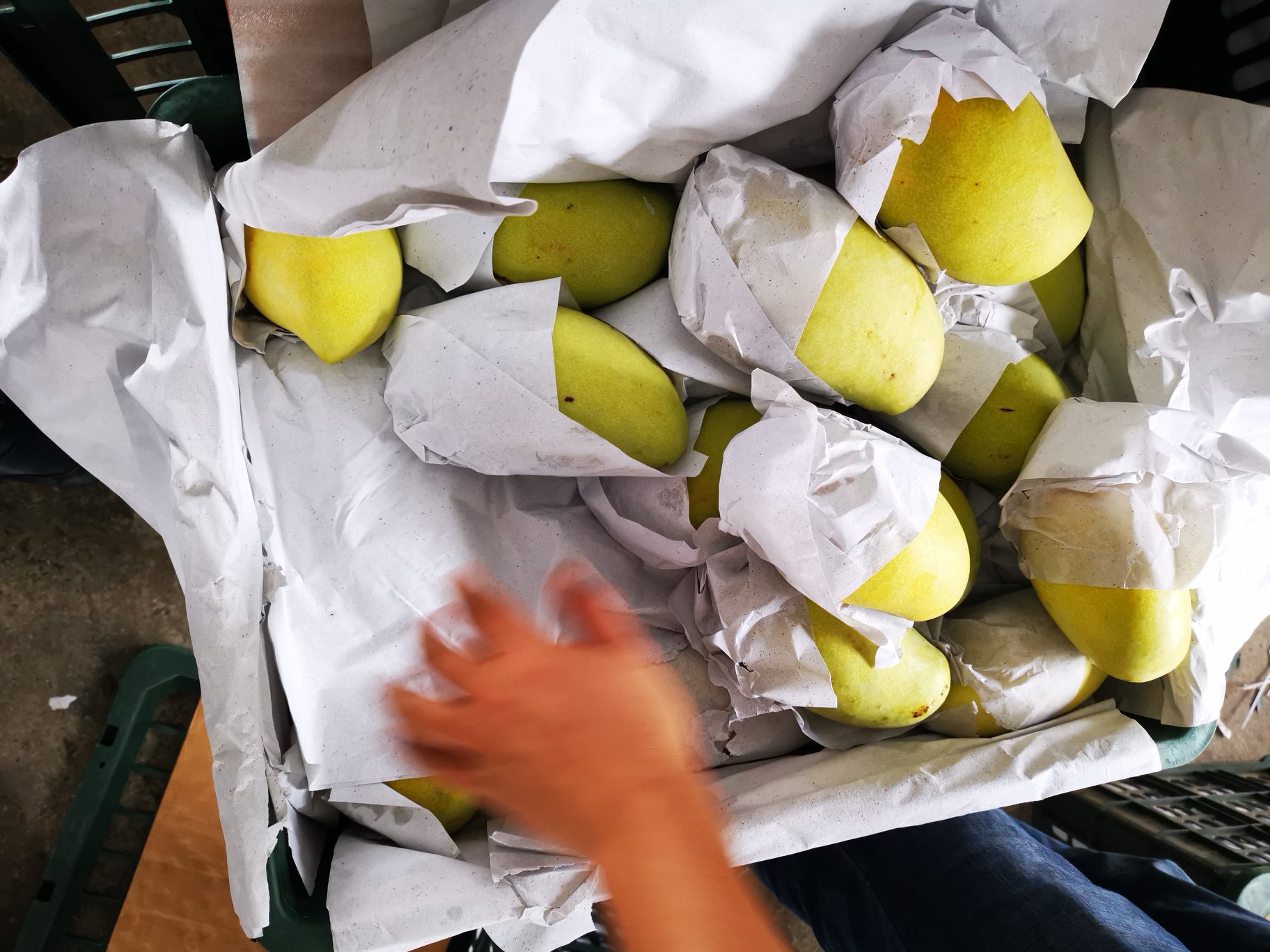 电商打包发货现场,展示桂七芒标准化包装流程 桂七芒电商打包发货现场
