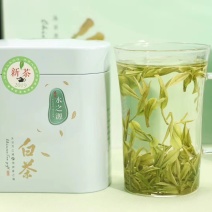 浙江安吉白茶属于绿茶～