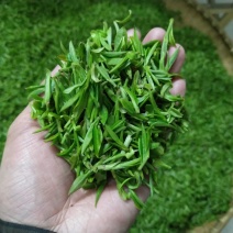 湖北省大悟县（将军县）绿茶