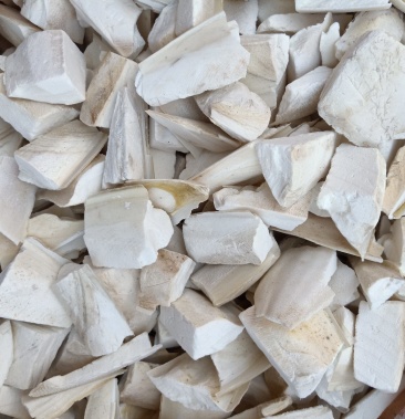 中药材海螵蛸乌贼骨海螵蛸切块个