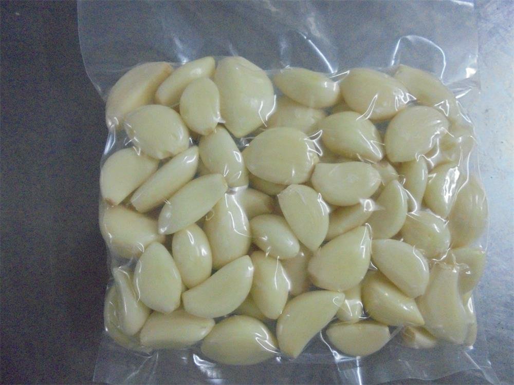 粳米与完整蒜米同置于电饭煲内胆中,清水没过米面约1cm,两粒带紫衣残留的鲜蒜米清晰可见,米粒饱满未糊化 粳米与完整蒜米同置于电饭煲内胆中,清水没过米面约1cm,两粒带紫衣残留的鲜蒜米清晰可见,米粒饱满未糊化