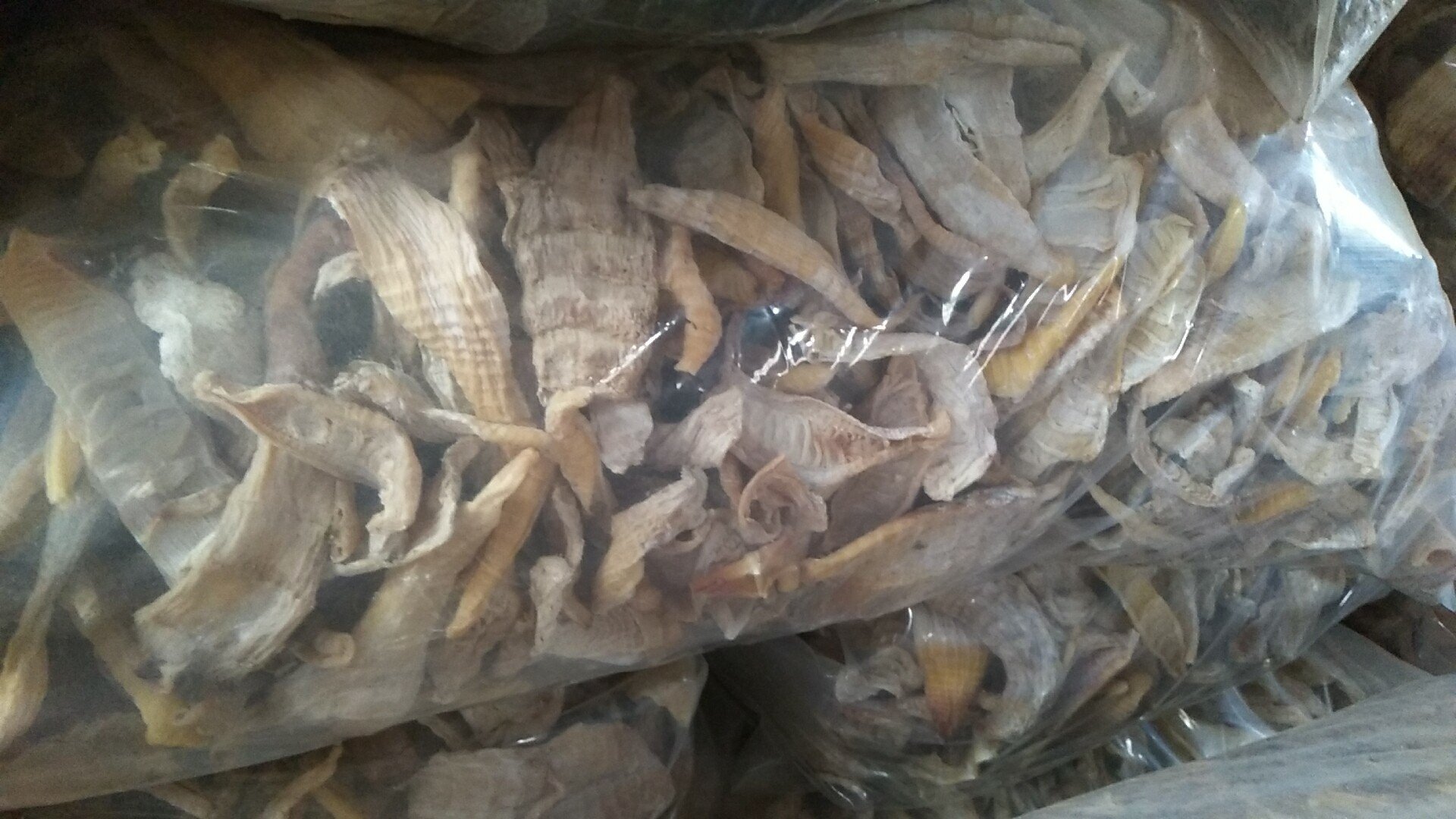 竹笋冷冻前的准备过程图