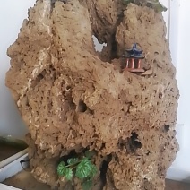 上水石