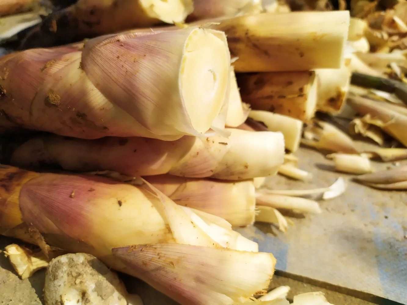 雷竹笋焯水与分装过程示意图