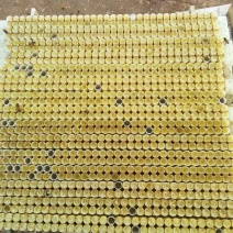 蜂皇浆
