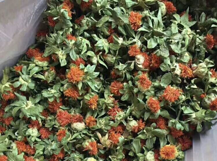 新鲜百合与干百合对比图