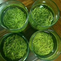 茶叶