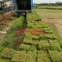 草皮