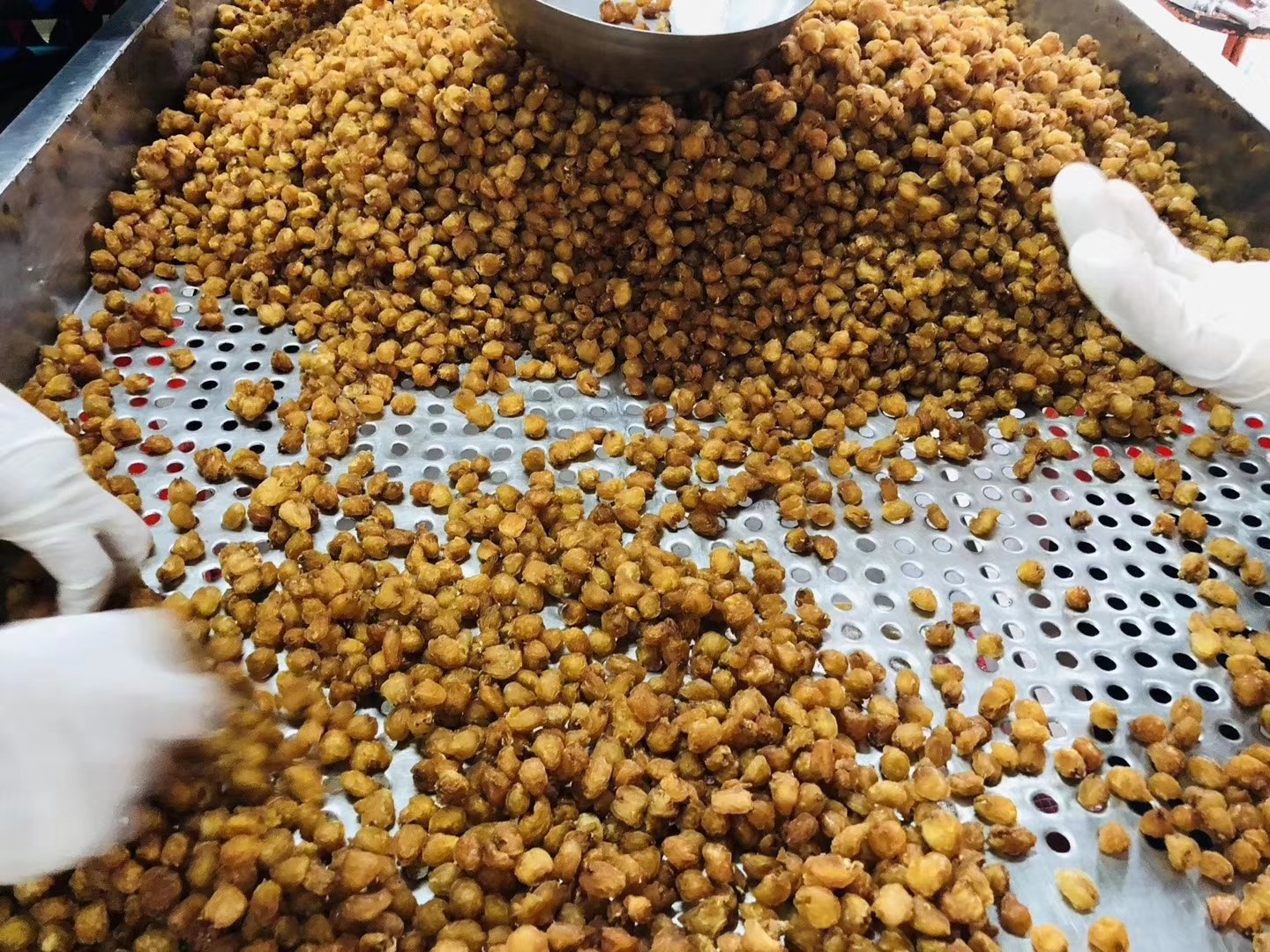 展示桂圆从鲜果到干制品的完整加工流程:第一阶段为鲜果分拣,工人在流水线上剔除破损果实;第二阶段为清洗与去枝;第三阶段为进入多层网带式热风烘干机,温度显示为65℃;第四阶段为冷却包装,成品为棕褐色龙眼干,置于透明密封袋中。背景为现代化加工厂内部环境 桂圆干制加工流程示意图