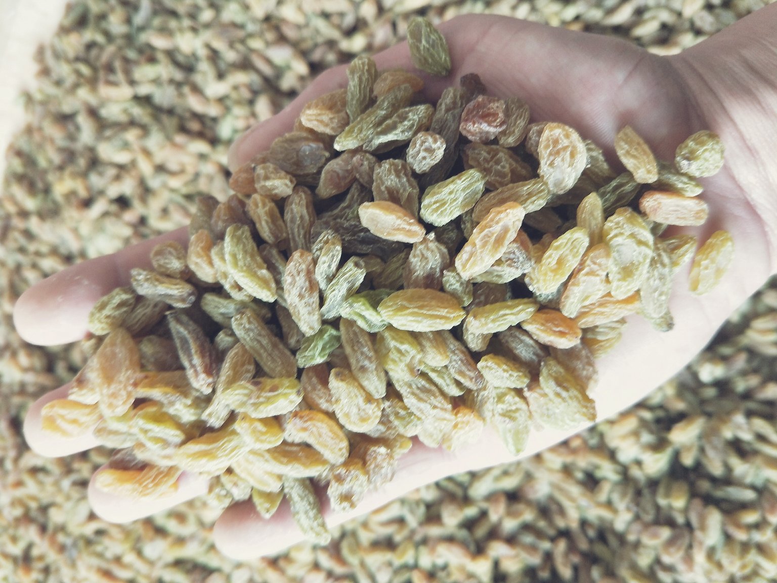 葡萄与坚果搭配的健康饮食示意图,体现营养均衡与饱腹感提升 葡萄与坚果搭配示意图