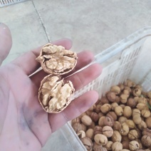 云南大理鸡山纸皮核桃