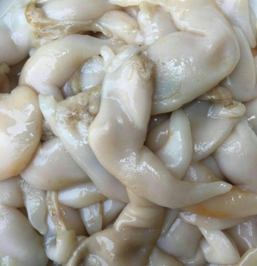 [鸟贝批发]黄鸟贝价格30.00元/斤 - 一亩田