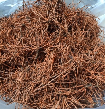 [野蚕豆批发]红根野蚕豆鲜根价格300.00元/斤 - 一亩田