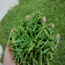竹叶青