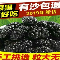 四川手选桑葚干黑桑椹无沙免洗泡水泡酒批发包邮零售